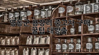 영동군 용강리 중고차 구매 꿀팁 대방출! 🚗💨